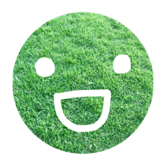 lawn grasses