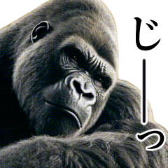 [Intimidating] Handsome Gorilla