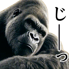 【圧が強い】イケメンゴリラ