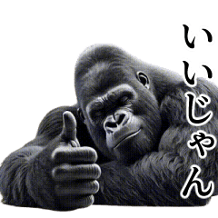 [Random] Handsome Gorilla