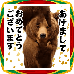 Dance! Now This/Bear Meme/New Year