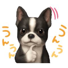 ayame_20251203015826