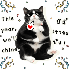 毎日ニャンコ #2 タイ風しあわせメッセージ