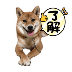 yunachi_20251202143512