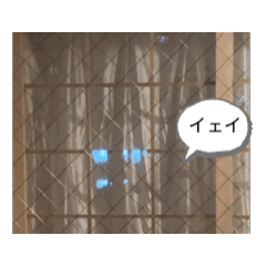 Chie_20251202204124