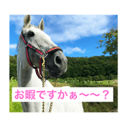 pefect day for horse