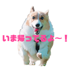 KATSUMI_20251202174234