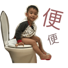 豬毛日常