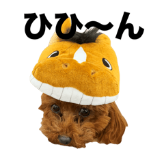 chaka_20251202214447