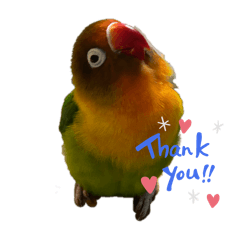 ganko_20251202214604