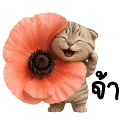 เหมียวเทาตัวตึง แชทน่ารักใช้ได้ทุกวัน