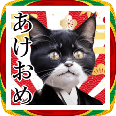 和服を着たねこのお正月☆2026