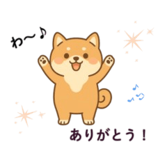 My Cute Shiba Inu 01