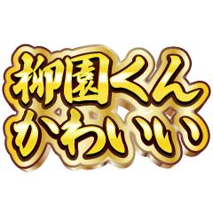 I love Yanagizono-kun. Luxury deluxe set