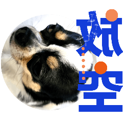 Beautiful girl_20251202085759