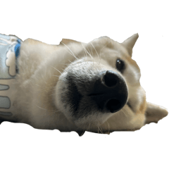 我家的狗補充版（亂弄ㄉ）