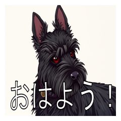 Lots of Scottish Terriers