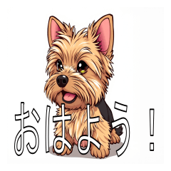 Lots of Norwich Terriers