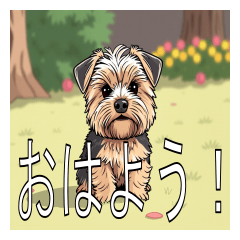 Lots of Norfolk Terriers