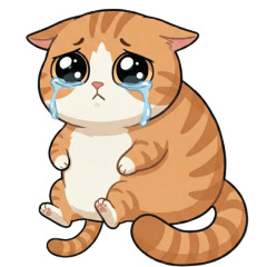 小胖橘與小主人Ver2