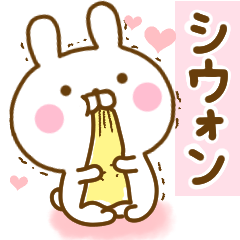 Rabbit Usahina love Siwon 2