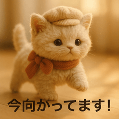 Cozy Cat Soft Message Pack