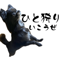 yukinko_20251203010839