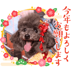 chieko_20251203081523