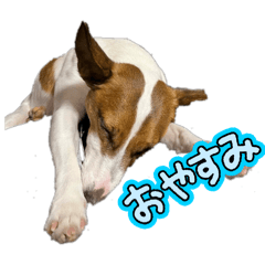 Kamui_20251203083138