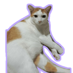 Stickers cat ver.1