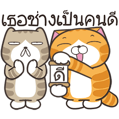 เหมียวซ่า : ชีวิตดี๊ดี