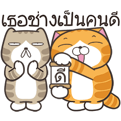 เหมียวซ่า : ชีวิตดี๊ดี