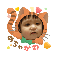 shingaki_20251203102448