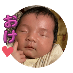 chihiro_20251203084629