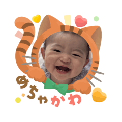 greenMAMEdanuki_20251203090245