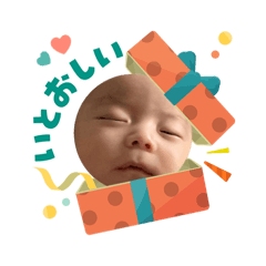 Shiho_20251203110926