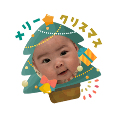 ringo_20251203091149