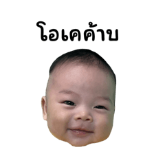 Koala_20251203035300