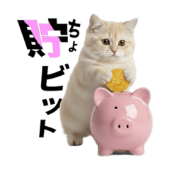 Kawakami_20251201220657