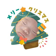 sacha_20251203004430