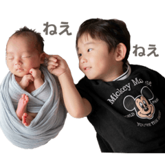 maimaru_20251202000947
