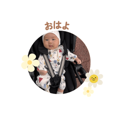 Baby_matsu