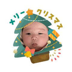 bayachi_20251203122844