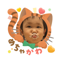 kitty_20251203113601