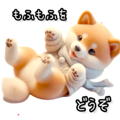 A considerate Shiba Inu