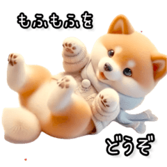 【動く】気遣いの出来る柴犬