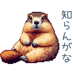 ちょっと強気なマーモット【面白い】