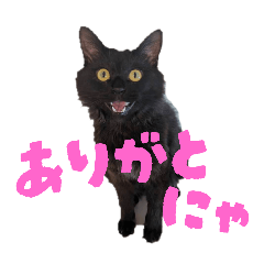 kainushi_20251202223637