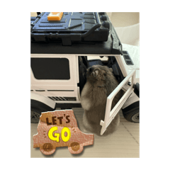 Kanamaru_20251203101732