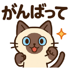 Cute Siamese Cat Daily Sticker